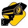 picto cam videosurveillance